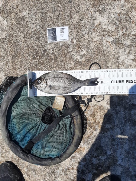 Fish Measure Picture